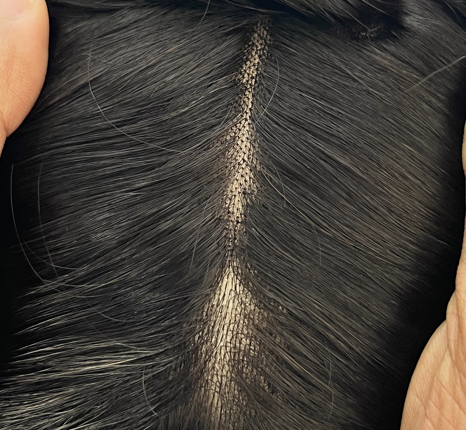 sft-2053 100% Real Human Mono toupee from Shunf hair